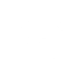 First Companion trophy art on PlayStation 5