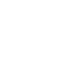 Twinkle, Twinkle, Little Star trophy art on PlayStation 5